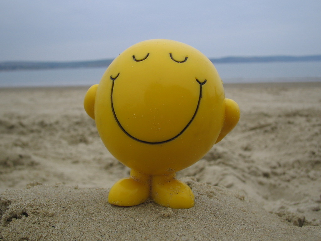 http://economistmom.com/wordpress/wp-content/uploads/2009/08/smiley-face-on-beach.jpg